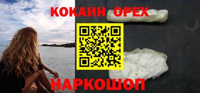 соль ск Сланцы