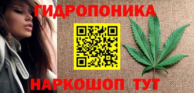 соль ск Сланцы
