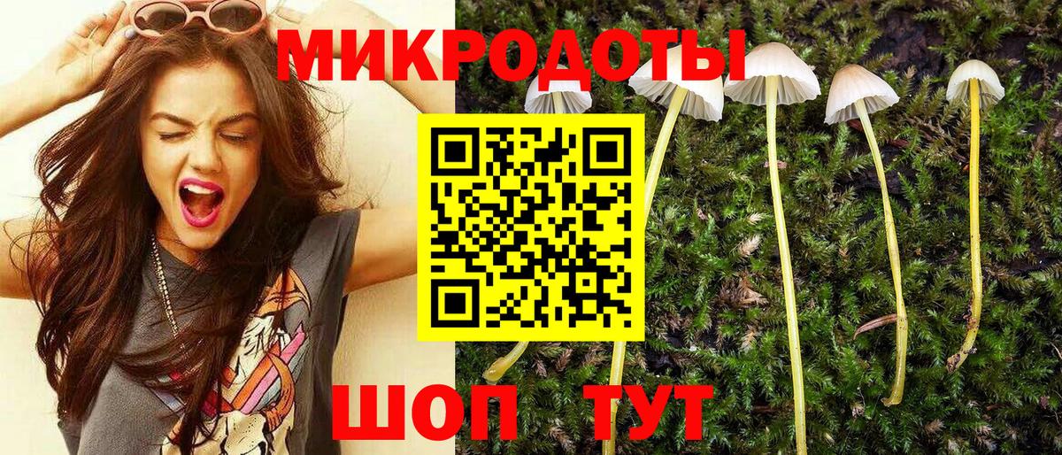 Псилоцибиновые грибы мицелий Михайловск